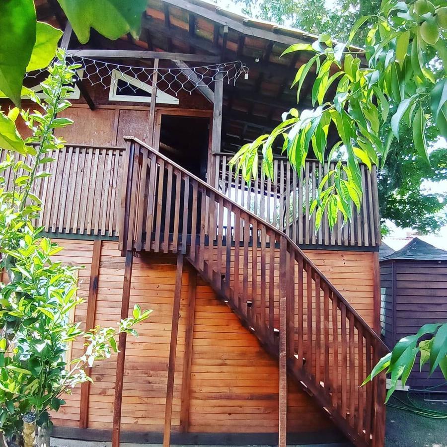 Mini House Park Hotel Campo Alegre  Exterior photo