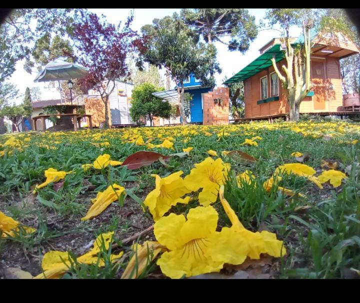 Mini House Park Hotel Campo Alegre  Exterior photo